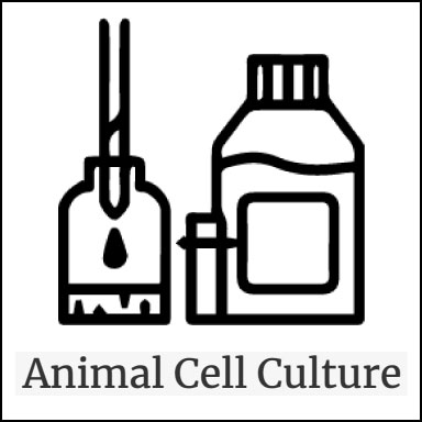 Animal Cell Culture