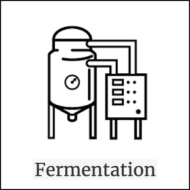 Fermentation