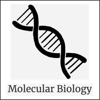 Molecular Biology