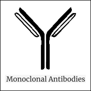 Monoclonal Antibodies