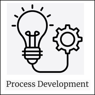 Process Development